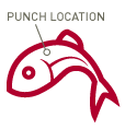 Punch location on fish