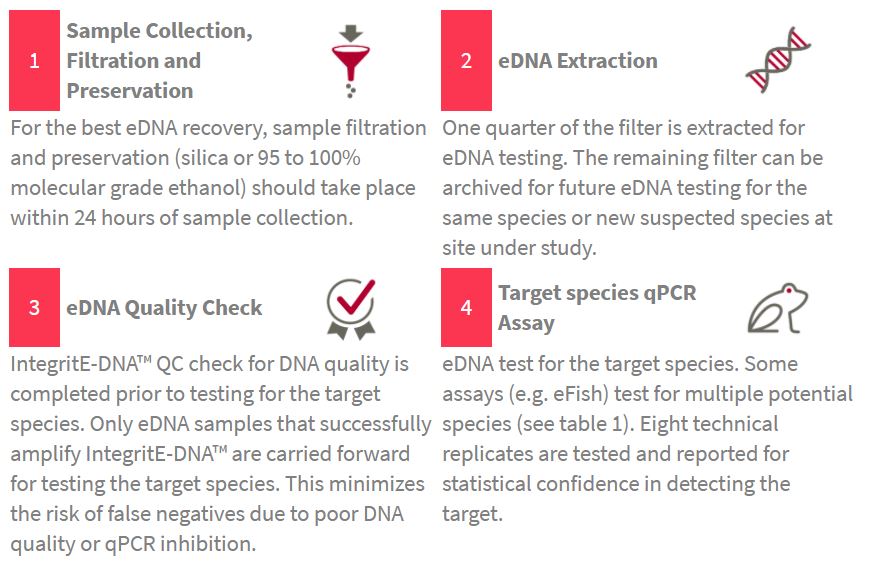environmental dna north america