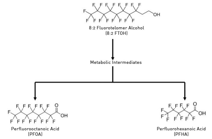Transformation of 8:2 Fluorotelomer Alcohol (8:2 FTOH)
