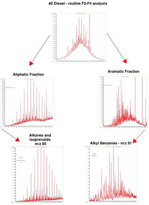 Petroleum Biomarker Figure 2