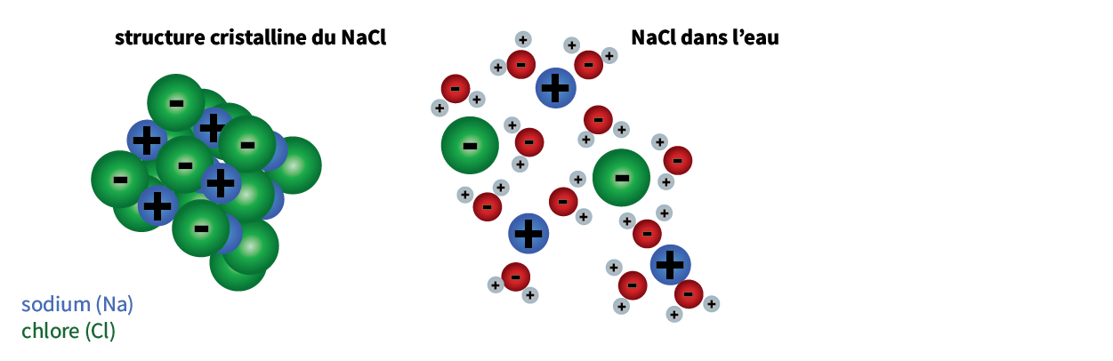 Structure cristalline du NaCl et NaCl dans l'eau