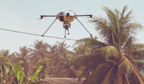 Drone flying in the sky with a palm tree in the background