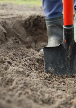 Digging soil with a shovel