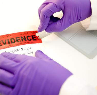 Person in purple gloves using a razor blade to open an evidence bag