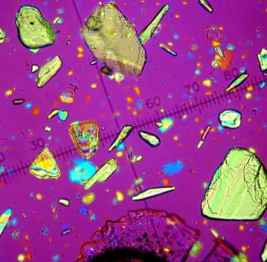 Materials in an array of colors shown under a microscope
