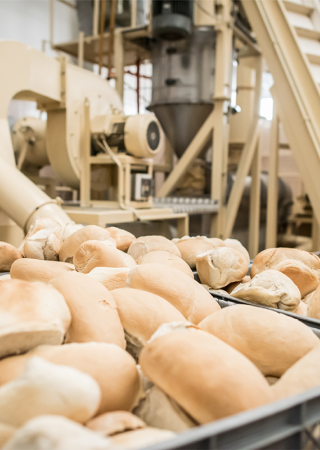 Bread Manufacturing